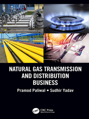 cover image of Natural Gas Transmission and Distribution Business